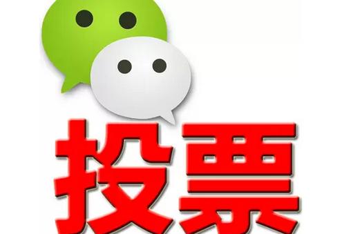 邢台市微信投票功能开发 上传图片投票